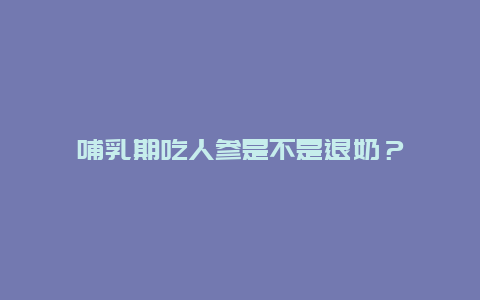 哺乳期吃人参是不是退奶？