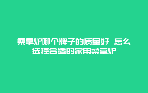 桑拿炉哪个牌子的质量好 怎么选择合适的家用桑拿炉