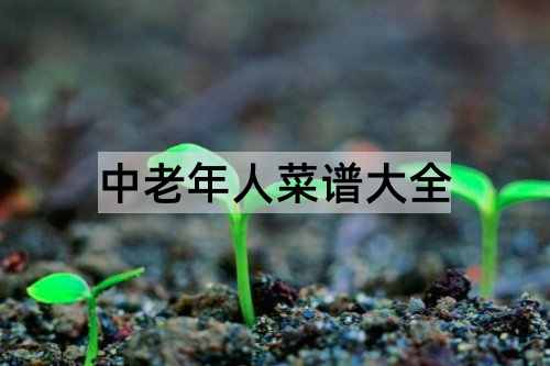 中老年人菜谱大全_http://www.365jiazheng.com_健康护理_第1张