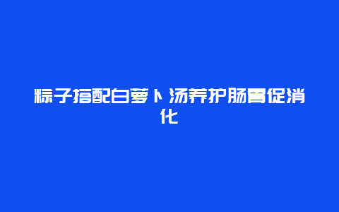 粽子搭配白萝卜汤养护肠胃促消化_http://www.365jiazheng.com_健康护理_第1张