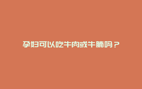 孕妇可以吃牛肉或牛腩吗？