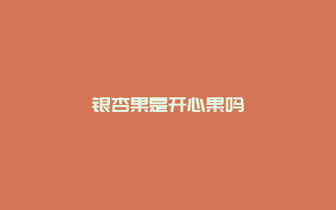 银杏果是开心果吗