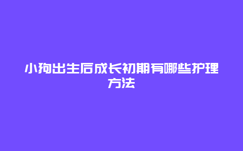 小狗出生后成长初期有哪些护理方法