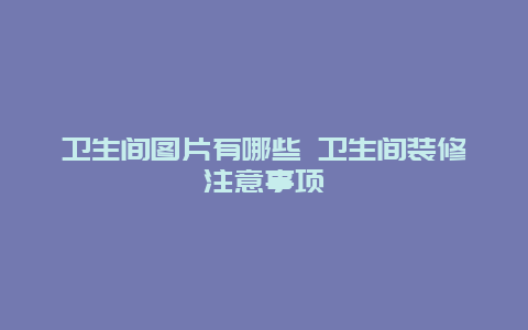 卫生间图片有哪些 卫生间装修注意事项_http://www.365jiazheng.com_保洁卫生_第1张