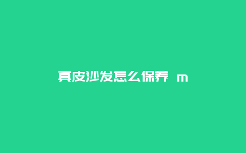 真皮沙发怎么保养 m