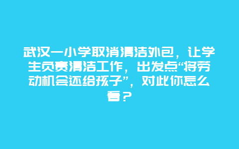 武汉一小学取消清洁外包，让学生负责清洁工作，出发点“将劳动机会还给孩子”，对此你怎么看？