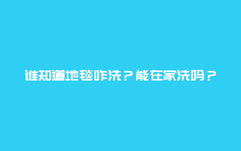 谁知道地毯咋洗？能在家洗吗？