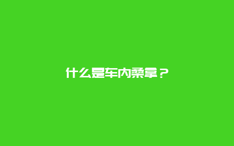 什么是车内桑拿？