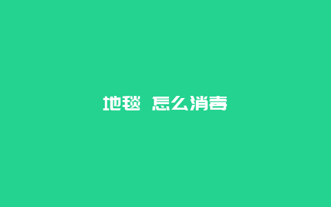 地毯 怎么消毒