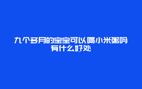 九个多月的宝宝可以喝小米粥吗有什么好处