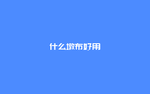 什么墩布好用_http://www.365jiazheng.com_保洁卫生_第1张