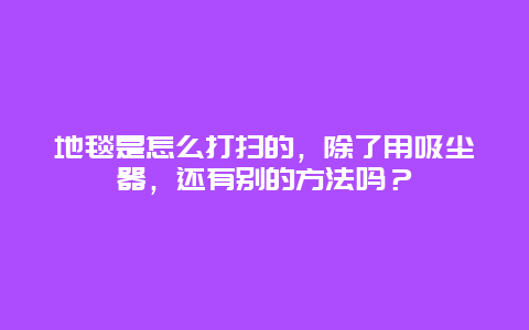 地毯是怎么打扫的，除了用吸尘器，还有别的方法吗？