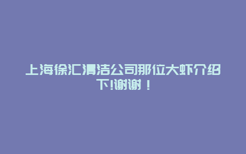 上海徐汇清洁公司那位大虾介绍下!谢谢！