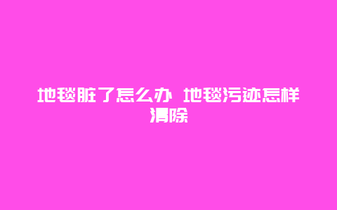 地毯脏了怎么办 地毯污迹怎样清除