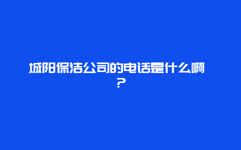 城阳保洁公司的电话是什么啊 ？