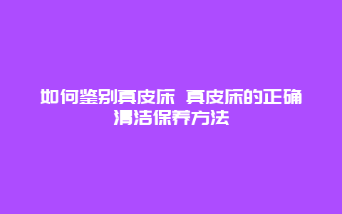 如何鉴别真皮床 真皮床的正确清洁保养方法