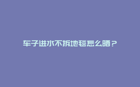 车子进水不拆地毯怎么晒？