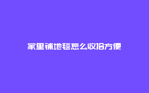 家里铺地毯怎么收拾方便