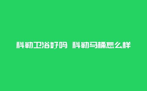 科勒卫浴好吗 科勒马桶怎么样