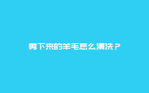 剪下来的羊毛怎么清洗？