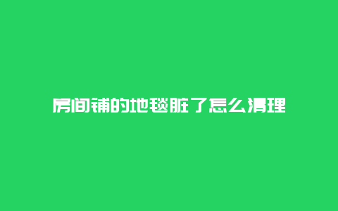 房间铺的地毯脏了怎么清理