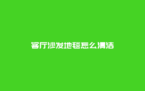 客厅沙发地毯怎么清洁