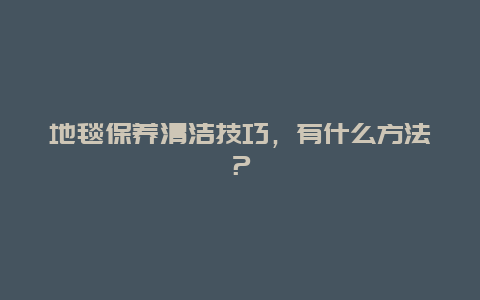 地毯保养清洁技巧，有什么方法？