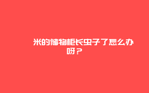 榻榻米的储物柜长虫子了怎么办呀？