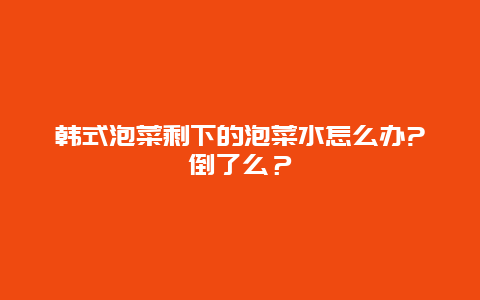 韩式泡菜剩下的泡菜水怎么办?倒了么？