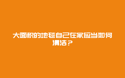 大面积的地毯自己在家应当如何清洁？