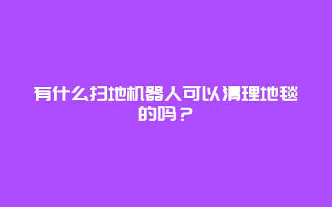 有什么扫地机器人可以清理地毯的吗？