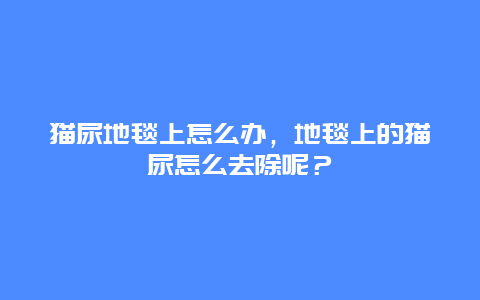 猫尿地毯上怎么办，地毯上的猫尿怎么去除呢？