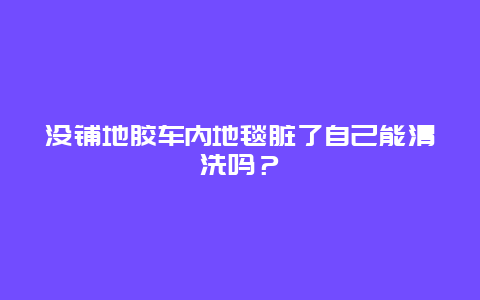 没铺地胶车内地毯脏了自己能清洗吗？