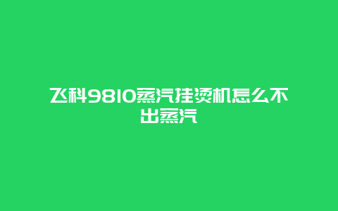 飞科9810蒸汽挂烫机怎么不出蒸汽