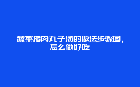 蔬菜猪肉丸子汤的做法步骤图，怎么做好吃