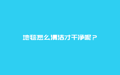 地毯怎么清洁才干净呢？