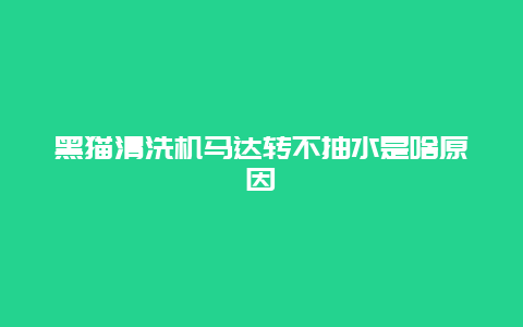 黑猫清洗机马达转不抽水是啥原因_http://www.365jiazheng.com_保洁卫生_第1张