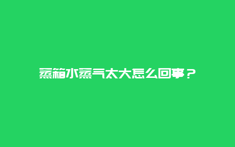 蒸箱水蒸气太大怎么回事？