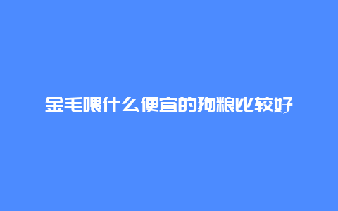 金毛喂什么便宜的狗粮比较好