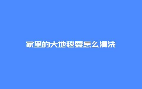 家里的大地毯要怎么清洗