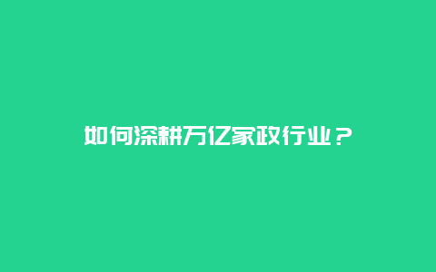 如何深耕万亿家政行业？