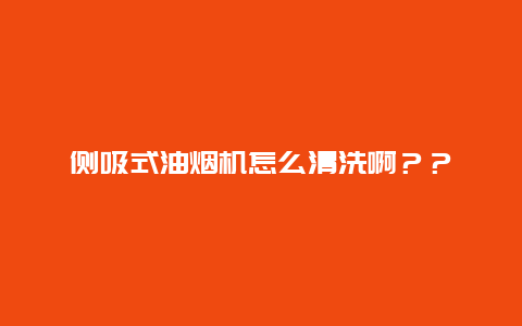 侧吸式油烟机怎么清洗啊？？