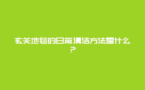 玄关地毯的日常清洁方法是什么？