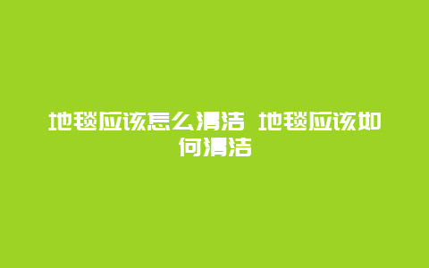 地毯应该怎么清洁 地毯应该如何清洁