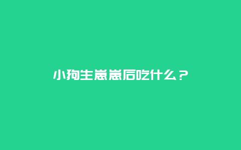 小狗生崽崽后吃什么？