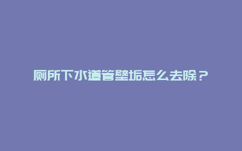 厕所下水道管壁垢怎么去除？