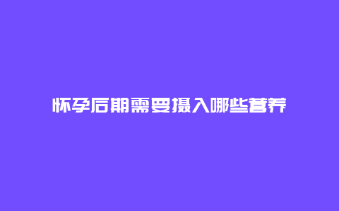 怀孕后期需要摄入哪些营养