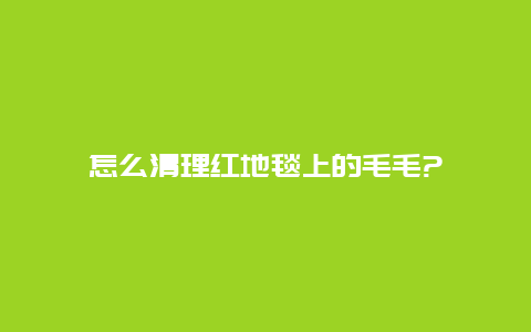 怎么清理红地毯上的毛毛?