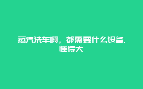 蒸汽洗车啊，都需要什么设备.懂得大