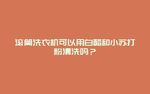 滚筒洗衣机可以用白醋和小苏打粉清洗吗？_http://www.365jiazheng.com_保洁卫生_第1张